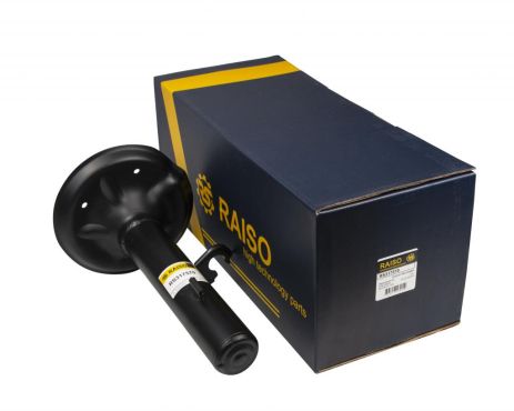 Передний левый амортизатор для BMW X3 04-11, RAISO (RS317570) Передний левый амортизатор для BMW X3 04-11, RAISO (RS317570)