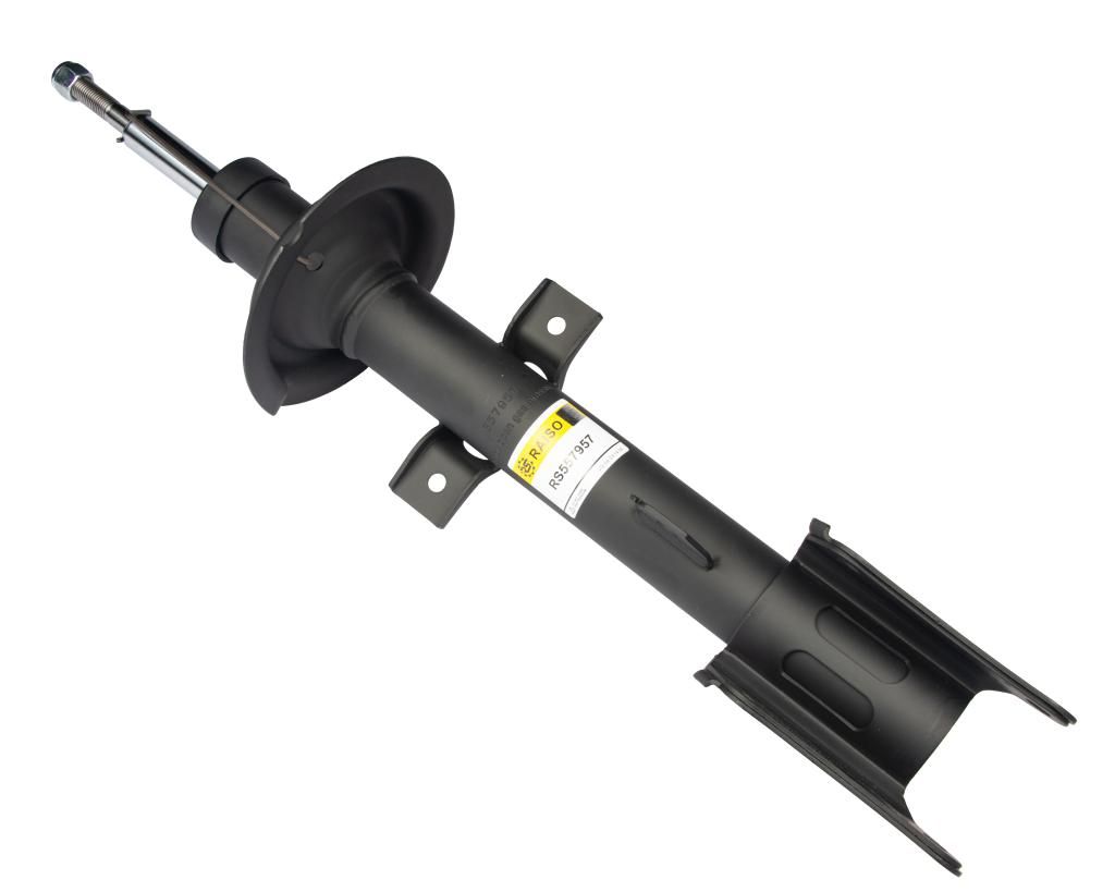 Задний амортизатор для Alfa Romeo 147 01-10 (газ.), RAISO (RS557957) Задний амортизатор для Alfa Romeo 147 01-10 (газ.), RAISO (RS557957)