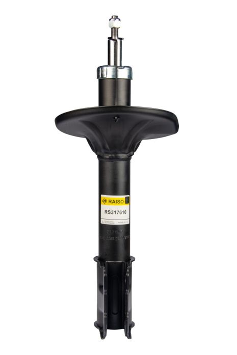 Амортизатор передній Mitsubishi Outlander -07 (газ.), RAISO (RS317610)
