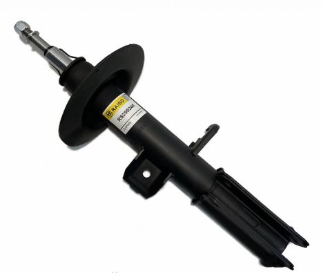 Амортизатор передній лів. BMW X5 E53 00-06 3.0-4.6, RAISO (RS290240) - БМВ Х5