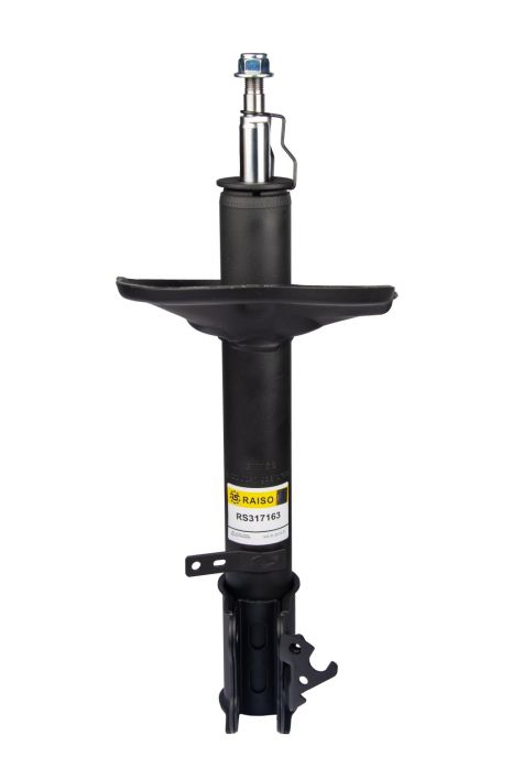 Передній правий амортизатор для Toyota Rav IV 94-00, RAISO (RS317163)
