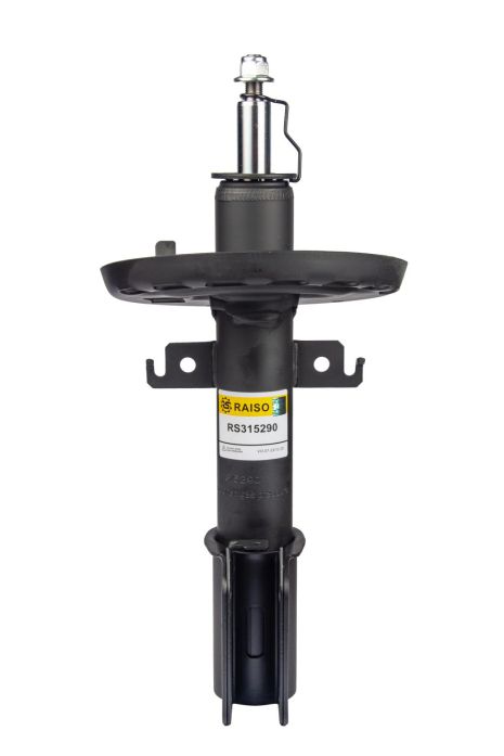 Передній амортизатор Renault Fluence 10-, RAISO (RS315290)