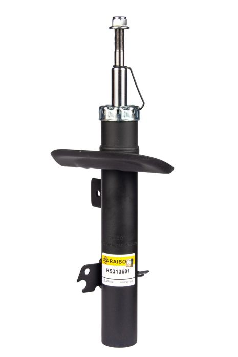 Передній амортизатор для Peugeot 207 06- (51mm) (газ.), RAISO (RS313681)