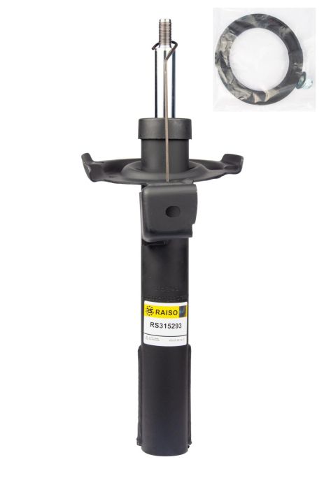 Передний амортизатор для Mercedes A/B Sports Tourer 04-12, RAISO (RS315293)