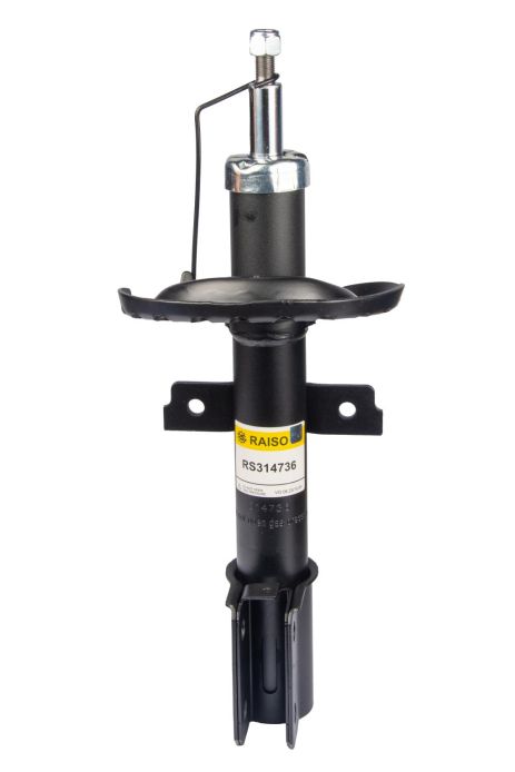 Передній амортизатор Renault Clio III 04-, RAISO (RS314736)