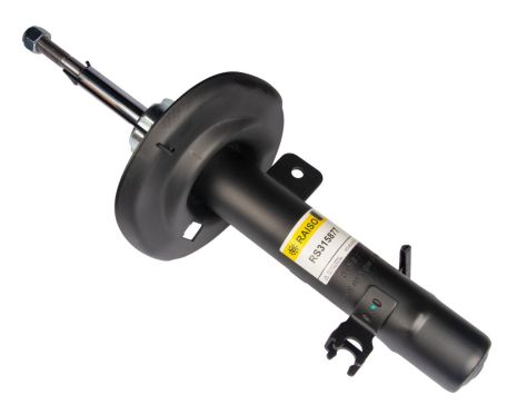 Передній амортизатор правий для Peugeot 208 12-19, RAISO (арт. RS315877)