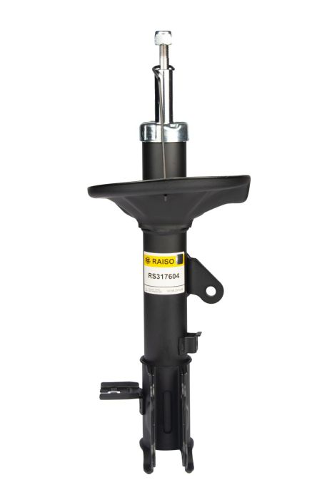 Лівий задній амортизатор Elantra III 00-06 (газ,), RAISO (RS317604)