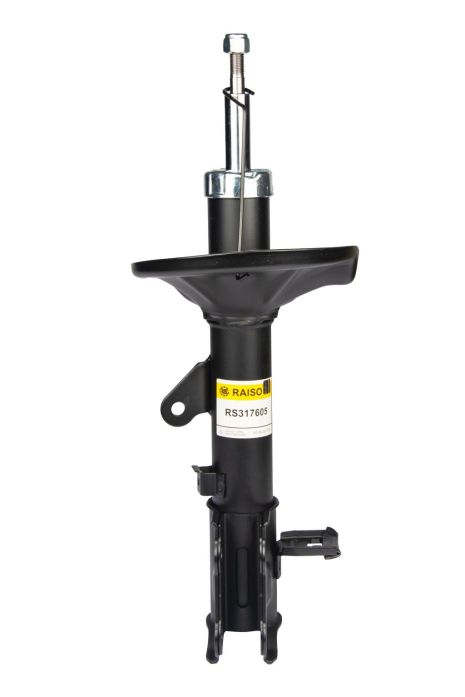 Задний амортизатор Elantra III 00-06 (газ.), RAISO (RS317605)