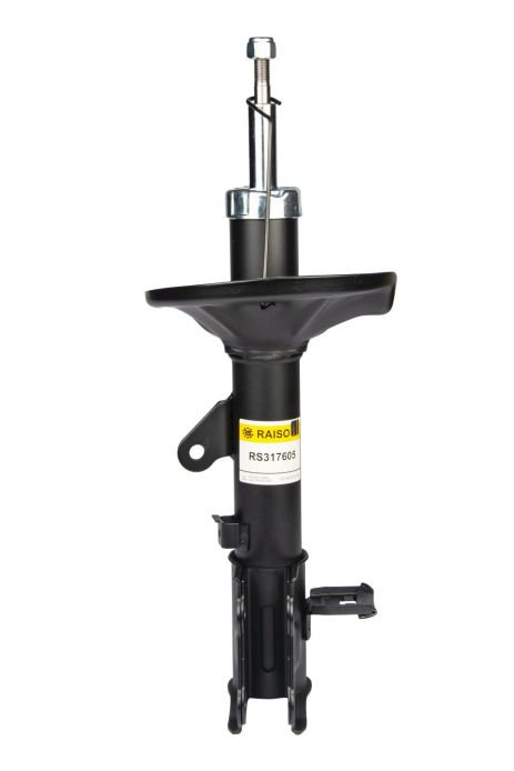 Задний амортизатор Elantra III 00-06 (газ.), RAISO (RS317605)