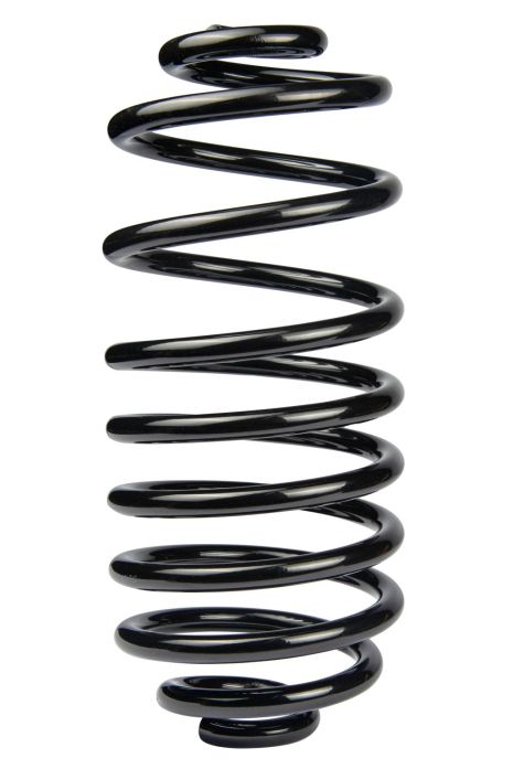 Задня пружина для Kangoo II 08- (376*14,5*161), RAISO (SR243TP)