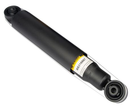 Задний амортизатор для Captiva/Antara A (газ.), RAISO (RS316887) Задний амортизатор для Captiva/Antara A (газ.), RAISO (RS316887)