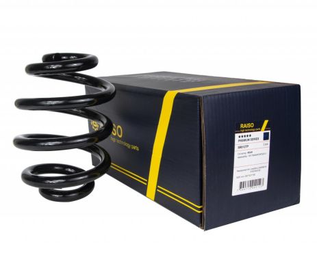 Задня пружина для VW T4 90-03, RAISO (SR012TP)