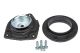 Опора переднего амортизатора Nissan Note/Tiida 06-13 (с подшипником) RAISO (RC01527)