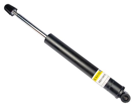Передний амортизатор для Smart 98-07 (газ.), RAISO (RS310015)