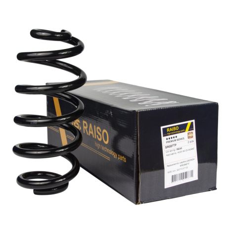 Задня пружина Audi A6 C6 04-11 (універсал) (300*15,5*132), RAISO (SR087TP) Задня пружина Audi A6 C6 04-11 (універсал) (300*15,5*132), RAISO (SR087TP)