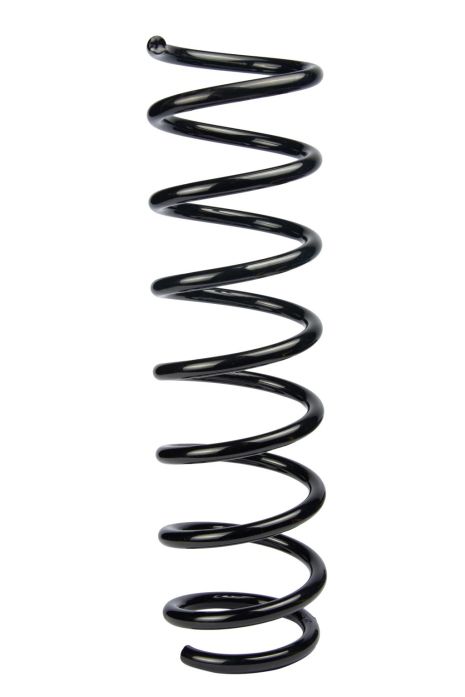 Задняя пружина BMW 5 E60/E61, RAISO (SR127TP) Задняя пружина BMW 5 E60/E61, RAISO (SR127TP)