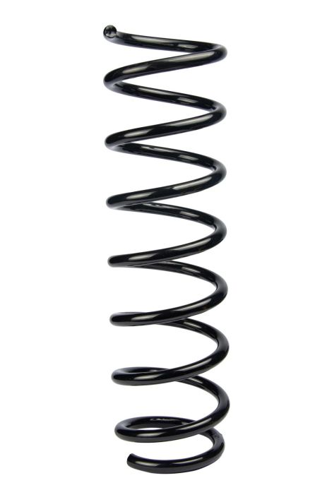 Задняя пружина BMW 5 E60/E61, RAISO (SR127TP)