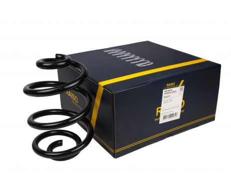 Задняя Пружина для BMW 3 90-07, RAISO (SR082TP)