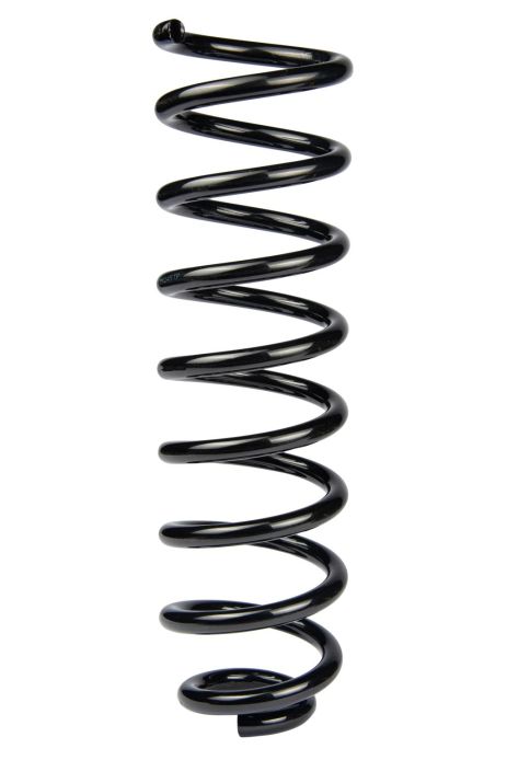 Задняя пружина Renault Grand Scénic D12/103 L373 L/R, RAISO (SR245TP)