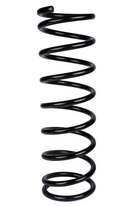 Задня пружина Lada 2121, RAISO (SR113TP) Задня пружина Lada 2121, RAISO (SR113TP)