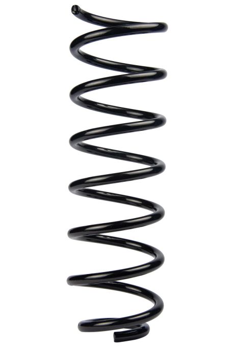 Посилена задня пружина Audi A4 B5 94-00 (374,0*11*112), RAISO (SR119TP)