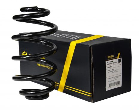Задняя пружина Opel Vectra C 02-, RAISO (SR065TP)