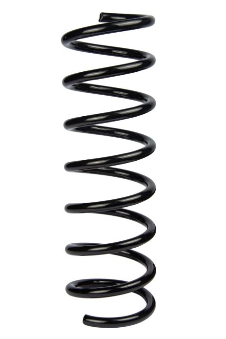 Задня пружина Ford C-Max/Focus C-Max 03-10 (360*11,7*110), RAISO (SR167TP)