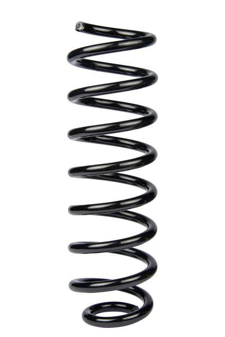 Пружина задняя для Renault Scenic II 03-09, RAISO (SR238TP)