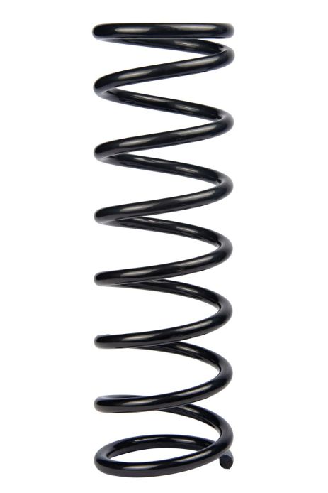 Задня пружина Ford Focus I 98-05 (346*11*109), RAISO (SR175TP)