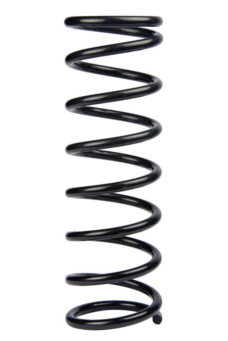 Задня пружина Ford Focus I 98-05 (346*11*109), RAISO (SR175TP)