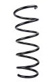 Передня пружина Duster 1.5 dCi/1.6 i 16V 10- (388*12,3*144), RAISO (SF141TP)