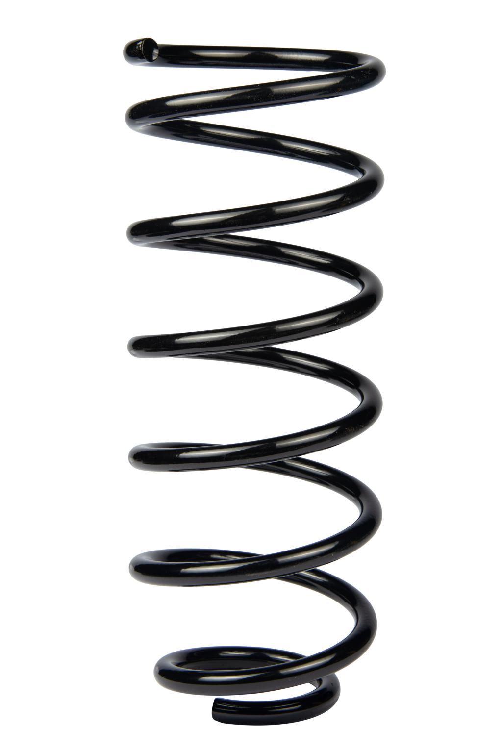 Задняя пружина Getz 02-(318*11*123), RAISO (SR212TP) Задняя пружина Getz 02-(318*11*123), RAISO (SR212TP)