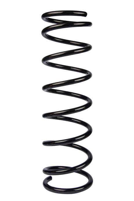 Задняя пружина для Lada 2101, RAISO (SR108TP)