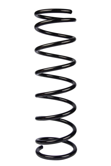 Задняя пружина для Lada 2101, RAISO (SR108TP)