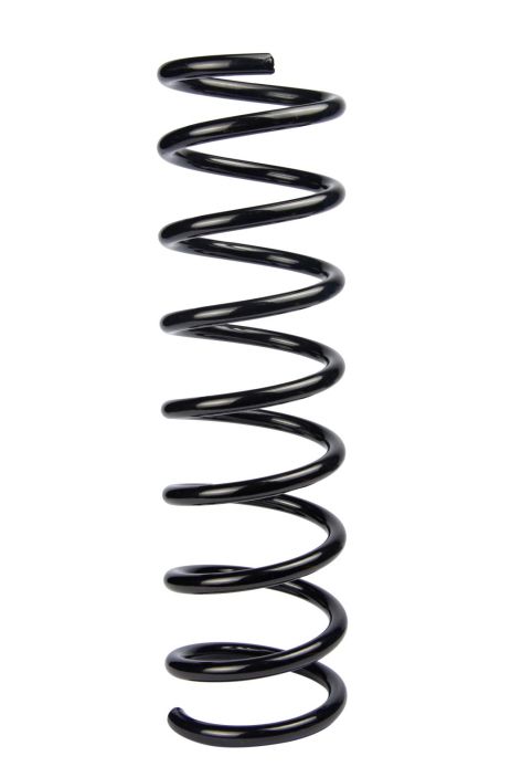 Задняя пружина Ford Focus D11,5/109 L385 L/R, RAISO (SR179TP)