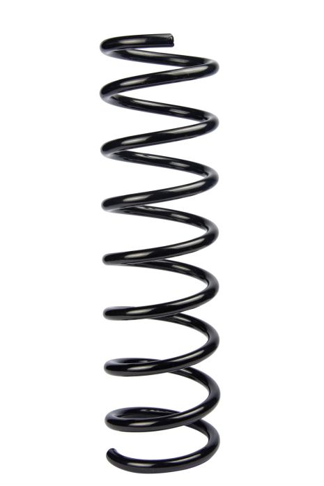 Задняя пружина Ford Focus D11,5/109 L385 L/R, RAISO (SR179TP)