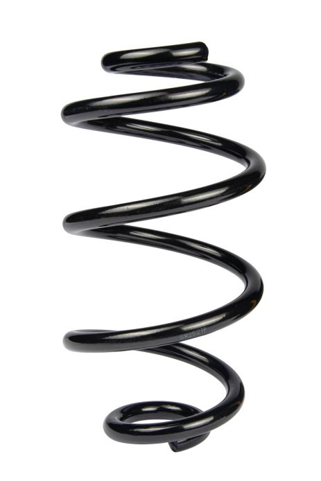 Задняя пружина, Renault Clio III/Modus 05-, RAISO (SR252TP)