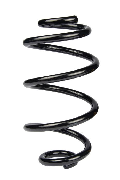 Задняя пружина, Renault Clio III/Modus 05-, RAISO (SR252TP)