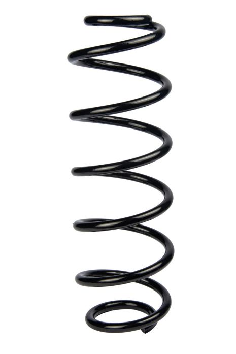 Задняя пружина Citroen C4/C4 I/C4 II/Peugeot 307 00-(348*10,7*113), RAISO (SR156TP)