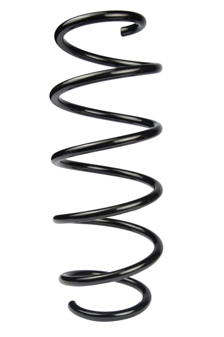 Передняя пружина для Ford Fiesta 08- (1.25-1.6), RAISO (SF172TP)