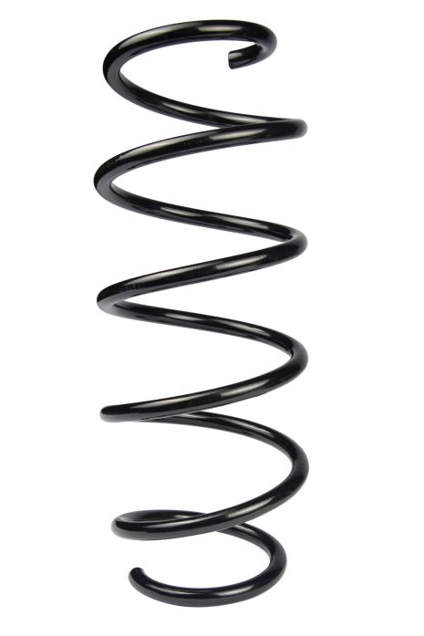 Передняя пружина для Ford Fiesta 08- (1.25-1.6), RAISO (SF172TP)