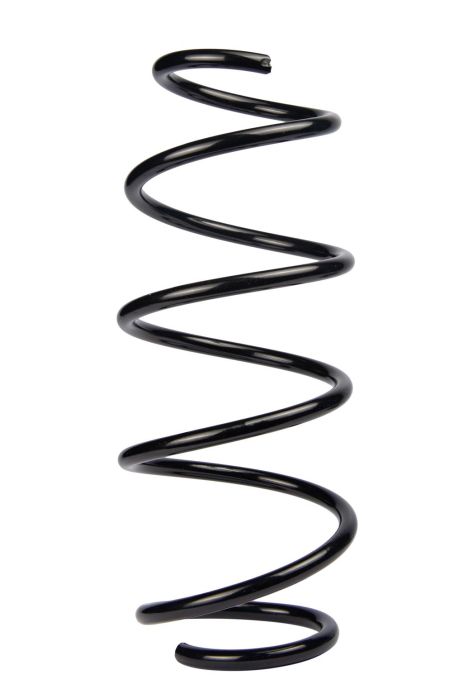 Передняя пружина Ford Fiesta 02-08, RAISO (SF173TP)