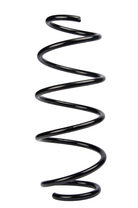 Передняя пружина Ford Fiesta 02-08, RAISO (SF173TP)