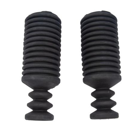 Задний пыльник + отбойник амортизатора для Almera II 95-00, RAISO (RK10036)