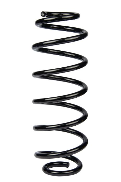 Задняя пружина Ford Fiesta 08-, RAISO (SR170TP)