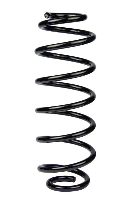 Задняя пружина Ford Fiesta 08-, RAISO (SR170TP)