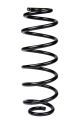 Пружина задня Ford Fiesta 08-, RAISO (SR170TP) задній пружинний елемент