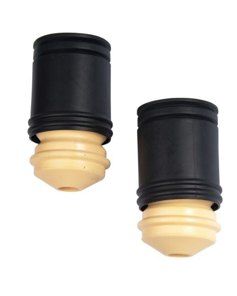 Пильник та відбійник заднього амортизатора для BMW 5 E34/E32, від RAISO (RK10006)