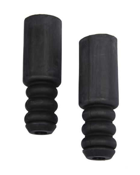 Пильник і відбійник переднього амортизатора для Kangoo 1997-2008, RAISO (RK00058) Пильник і відбійник переднього амортизатора для Kangoo 1997-2008, RAISO (RK00058)