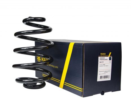 Задняя пружина Omega A/B 86-03 (273*15*155), RAISO (SR017TP)